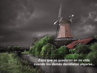 Esos que se quedaron en mi vida,
cuando los demás decidieron alejarse...