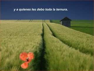 y a quienes les debo toda la ternura.