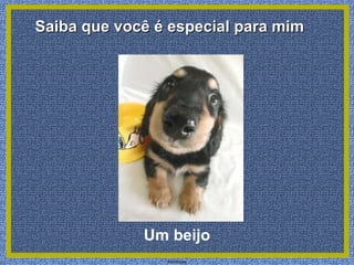 Um beijo Saiba que você é especial para mim
