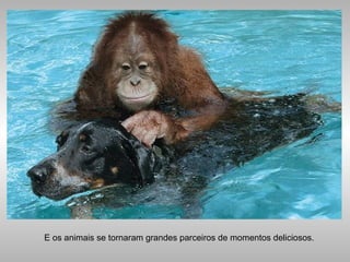 E os animais se tornaram grandes parceiros de momentos deliciosos.
 