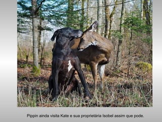 Pippin ainda visita Kate e sua proprietária Isobel assim que pode.
 