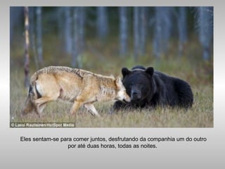 Eles sentam-se para comer juntos, desfrutando da companhia um do outro
por até duas horas, todas as noites.
 