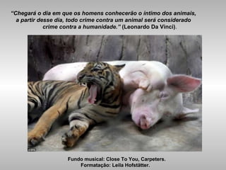 “Chegará o dia em que os homens conhecerão o íntimo dos animais,
a partir desse dia, todo crime contra um animal será considerado
crime contra a humanidade.” (Leonardo Da Vinci).
Fundo musical: Close To You, Carpeters.
Formatação: Leila Hofstätter.
 