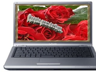 Amigos para sempre! site NovoDespertar