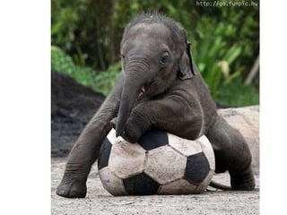 Amigos que nos fazem sorrir