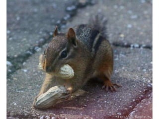 Amigos que nos fazem sorrir