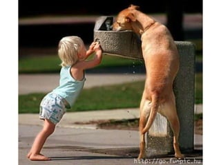 Amigos que nos fazem sorrir