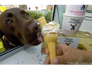 Amigos que nos fazem sorrir