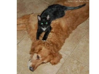 Amigos que nos fazem sorrir