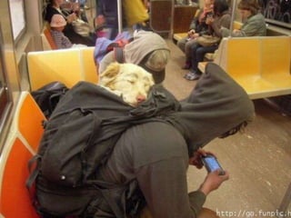 Amigos que nos fazem sorrir