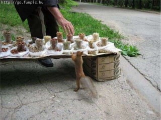 Amigos que nos fazem sorrir