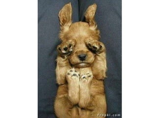 Amigos que nos fazem sorrir