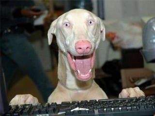 Amigos que nos fazem sorrir