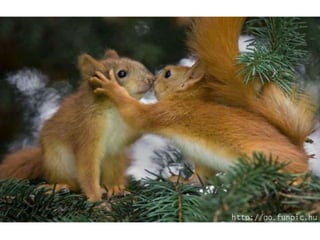 Amigos que nos fazem sorrir