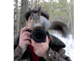 Amigos que nos fazem sorrir