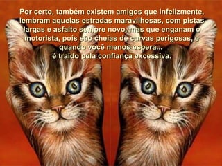 Por certo, também existem amigos que infelizmente,
lembram aquelas estradas maravilhosas, com pistas
 largas e asfalto sempre novo, mas que enganam o
  motorista, pois são cheias de curvas perigosas, e
            quando você menos espera...
          é traído pela confiança excessiva.
 