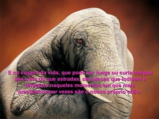 E na viagem da vida, que pode ser longa ou curta amigos
  são mais do que estradas, são placas que indicam a
       direção,e naqueles momentos em que mais
    precisamos,por vezes são o nosso próprio chão.
 