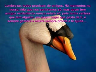 Lembre-se, todos precisam de amigos. Há momentos na
  nossa vida que nos sentiremos só, mas quem tem
amigos verdadeiros nunca estará só, pois tenha certeza
  que tem alguém, em algum lugar que gosta de ti, e
 sempre gostará e estará sempre pronto a te ajuda....
 