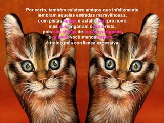 Por certo, também existem amigos que infelizmente, lembram aquelas estradas maravilhosas,  com pistas  largas   e asfalto  sem pre novo, mas  que  enganam o  moto rista,  pois  são cheias  de  curvas perigosas , e  quando  você menos  espera...   é traído pela confiança excessiva. 