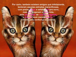 Por certo, também existem amigos que infelizmente,
     lembram aquelas estradas maravilhosas,
     com pistas largas e asfalto sempre novo,
            mas que enganam o motorista,
        pois são cheias de curvas perigosas,
           e quando você menos espera...
         é traído pela confiança excessiva.
 