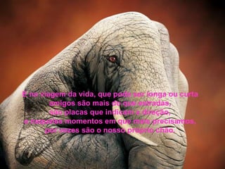 E na viagem da vida, que pode ser longa ou curta
        amigos são mais do que estradas,
        são placas que indicam a direção,
e naqueles momentos em que mais precisamos,
      por vezes são o nosso próprio chão.
 