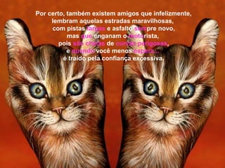 Por certo, também existem amigos que infelizmente,
     lembram aquelas estradas maravilhosas,
     com pistas largas e asfalto sempre novo,
           mas que enganam o motorista,
        pois são cheias de curvas perigosas,
           e quando você menos espera...
         é traído pela confiança excessiva.
 