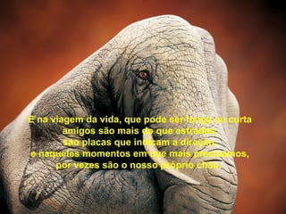 E na viagem da vida, que pode ser longa ou curta
        amigos são mais do que estradas,
        são placas que indicam a direção,
e naqueles momentos em que mais precisamos,
      por vezes são o nosso próprio chão.
 