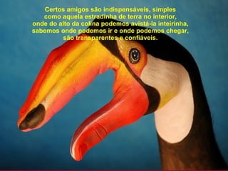 Certos amigos são indispensáveis, simples como aquela estradinha de terra no interior, onde do alto da colina podemos avistá-la inteirinha, sabemos onde podemos ir e onde podemos chegar, são transparentes e confiáveis. 