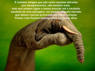 E existem amigos que são como aquelas estradas que desapareceram, não existem mais,  mas que sempre ligam a nossa emoção até a saudade, saudade de uma paisagem, um pedaço daquela estrada, que deixou marcas profundas em nosso coração. Foram, mas ficaram impregnados em nossa alma. 