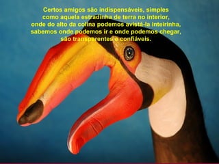 Certos amigos são indispensáveis, simples 
como aquela estradinha de terra no interior, 
onde do alto da colina podemos avistá-la inteirinha, 
sabemos onde podemos ir e onde podemos chegar, 
são transparentes e confiáveis. 
 