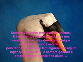 Lembre-se, todos precisam de amigos. 
Há momentos na nossa vida que nos 
sentiremos só, mas quem tem amigos 
verdadeiros nunca estará só, 
pois tenha certeza que tem alguém, em algum 
lugar que gosta de ti, e sempre gostará e 
estará sempre pronto a te ajuda.... 
 