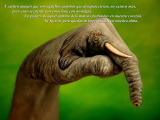 Y existen amigos que son aquellos caminos que desaparecieron, no existen más,  pero cuyo recuerdo nos emocióna con nostalgia.  Un pedazo de aquel camino dejó marcas profundas en nuestro corazón.  Se fueron, pero quedaron impregnados en nuestra alma. 