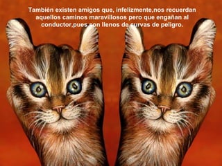 También existen amigos que, infelizmente,nos recuerdan aquellos caminos maravillosos pero que engañan al conductor,pues son llenos de curvas de peligro. 