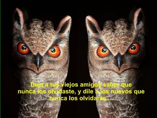Deja a tus viejos amigos saber que nunca los olvidaste, y dile a los nuevos que nunca los olvidarás.... 