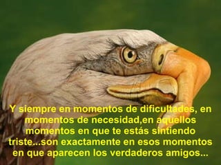 Y siempre en momentos de dificultades, en momentos de necesidad,en aquellos momentos en que te estás sintiendo triste...son exactamente en esos momentos en que aparecen los verdaderos amigos... 