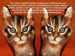 Por cierto, también existen amigos que infelizmente,nos recuerdan aquellos caminos maravillosos,con pistas largas y asfalto siempre nuevo,pero que engañan al conductor,pues son llenas de curvas peligrosas, y cuando menos lo esperas...eres atraído por la confianza excesiva. 