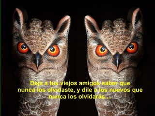 Deja a tus viejos amigos saber que nunca los olvidaste, y dile a los nuevos que nunca los olvidarás.... 