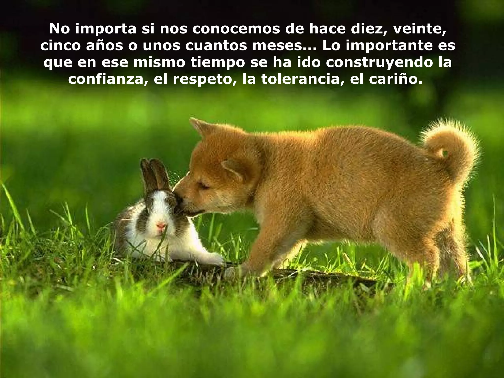 No importa si nos conocemos de hace diez, veinte, cinco años o unos cuantos meses...  L o importante es que en ese mismo tiempo se ha ido construyendo la confianza, el respeto, la tolerancia, el cariño .  
