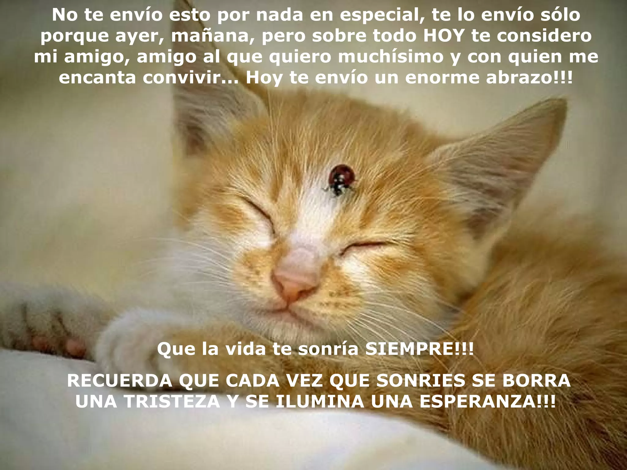 No te envío esto por nada en especial, te lo envío sólo porque ayer, mañana, pero sobre todo HOY te considero mi amigo, amigo al que quiero muchísimo y con quien me encanta convivir... Hoy te envío un enorme abrazo !!! Que la vida te sonría SIEMPRE!!!  RECUERDA QUE CADA VEZ QUE SONRIES SE BORRA UNA TRISTEZA Y SE ILUMINA UNA ESPERANZA !!!   