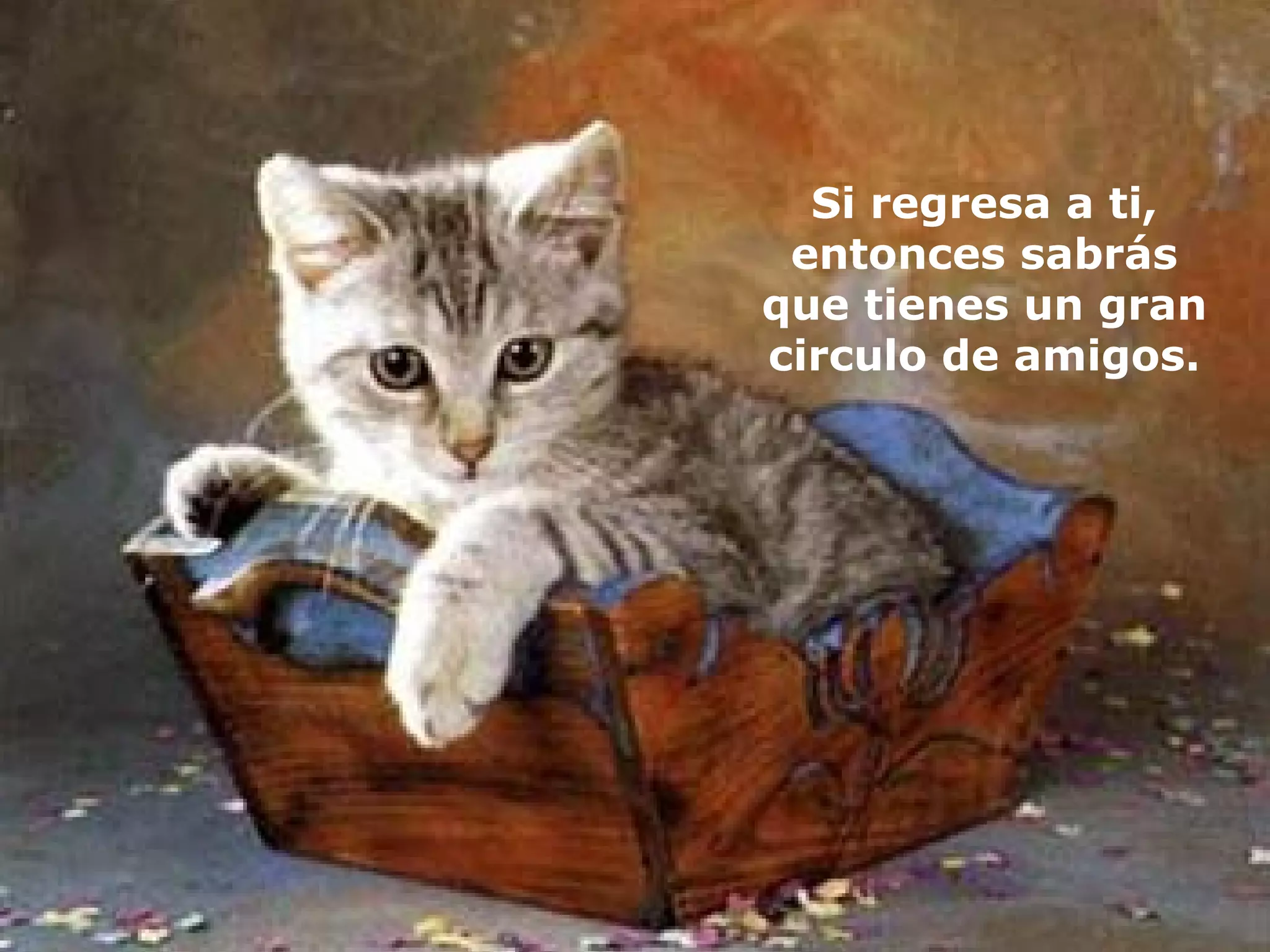 Si regresa a ti, entonces sabrás que tienes un gran circulo de amigos. 