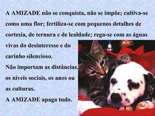 A AMIZADE não se conquista, não se impõe; cultiva-se
como uma flor; fertiliza-se com pequenos detalhes de
cortesia, de ternura e de lealdade; rega-se com as águas
vivas do desinteresse e do
carinho silencioso.
Não importam as distâncias,
os níveis sociais, os anos ou
as culturas.
A AMIZADE apaga tudo.
 