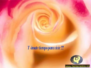 Tómate tiempo para vivir !!! 