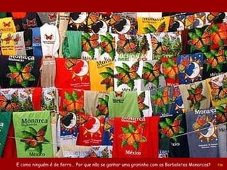 E como ninguém é de ferro... Por que não se ganhar uma graninha com as Borboletas Monarcas? Fim 