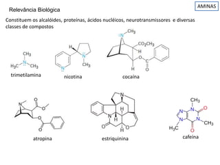 AMINAS
Constituem os alcalóides, proteínas, ácidos nucléicos, neurotransmissores e diversas
classes de compostos
Relevância Biológica
trimetilamina nicotina cocaína
atropina estriquinina cafeína
 