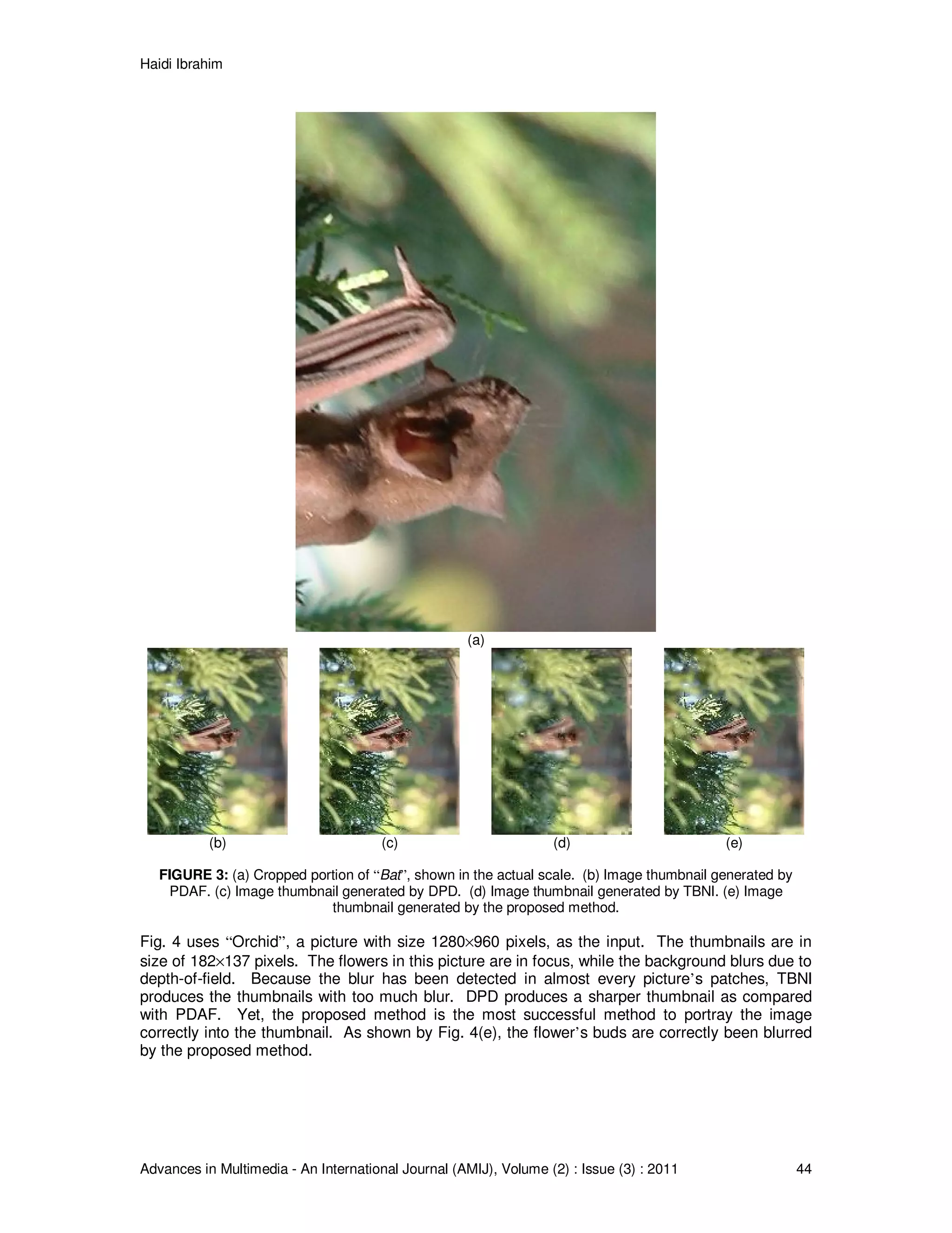 Haidi Ibrahim
Advances in Multimedia - An International Journal (AMIJ), Volume (2) : Issue (3) : 2011 44
(a)
(b) (c) (d) (e)
FIGURE 3: (a) Cropped portion of “Bat”, shown in the actual scale. (b) Image thumbnail generated by
PDAF. (c) Image thumbnail generated by DPD. (d) Image thumbnail generated by TBNI. (e) Image
thumbnail generated by the proposed method.
Fig. 4 uses “Orchid”, a picture with size 1280×960 pixels, as the input. The thumbnails are in
size of 182×137 pixels. The flowers in this picture are in focus, while the background blurs due to
depth-of-field. Because the blur has been detected in almost every picture’s patches, TBNI
produces the thumbnails with too much blur. DPD produces a sharper thumbnail as compared
with PDAF. Yet, the proposed method is the most successful method to portray the image
correctly into the thumbnail. As shown by Fig. 4(e), the flower’s buds are correctly been blurred
by the proposed method.
 