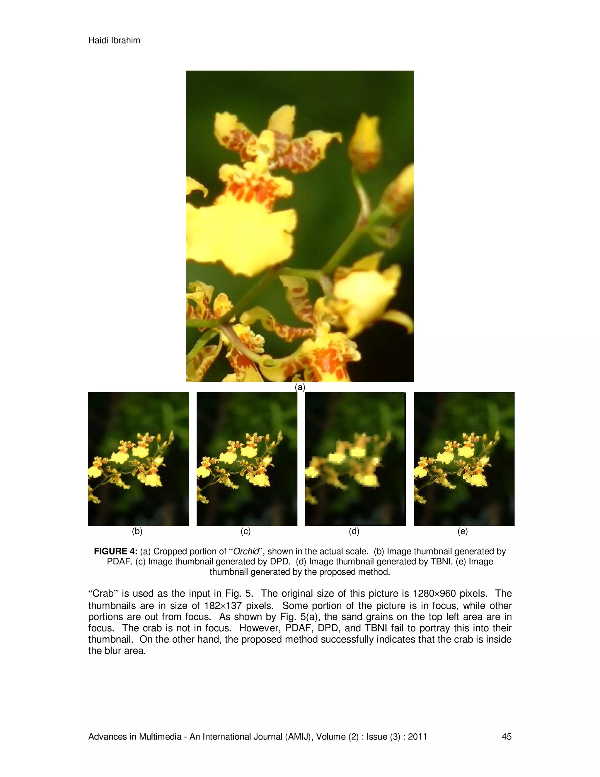 Haidi Ibrahim
Advances in Multimedia - An International Journal (AMIJ), Volume (2) : Issue (3) : 2011 45
(a)
(b) (c) (d) (e)
FIGURE 4: (a) Cropped portion of “Orchid”, shown in the actual scale. (b) Image thumbnail generated by
PDAF. (c) Image thumbnail generated by DPD. (d) Image thumbnail generated by TBNI. (e) Image
thumbnail generated by the proposed method.
“Crab” is used as the input in Fig. 5. The original size of this picture is 1280×960 pixels. The
thumbnails are in size of 182×137 pixels. Some portion of the picture is in focus, while other
portions are out from focus. As shown by Fig. 5(a), the sand grains on the top left area are in
focus. The crab is not in focus. However, PDAF, DPD, and TBNI fail to portray this into their
thumbnail. On the other hand, the proposed method successfully indicates that the crab is inside
the blur area.
 