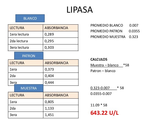 Valores De La Amilasa Y Lipasa