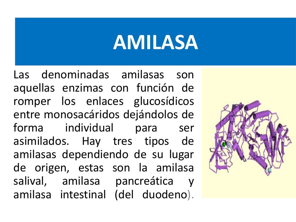 Amilasa ylipasa (1) Amilasa ylipasa (1)