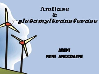 Amilase
         &
γ -glutamyltransferase




             Arini
        Neni anggraeni
 