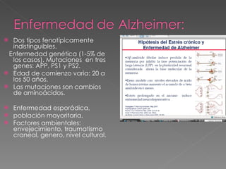 Dos tipos fenotípicamente indistinguibles. Enfermedad genética (1-5% de los casos). Mutaciones  en tres genes: APP, PS1 y PS2. Edad de comienzo varia: 20 a los 50 años. Las mutaciones son cambios de aminoácidos. Enfermedad esporádica,  población mayoritaria. Factores ambientales: envejecimiento, traumatismo craneal, genero, nivel cultural. 